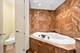 1100 N Lake Shore Unit 7B, Chicago, IL 60611