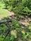 8 Hawthorne, Oswego, IL 60543