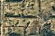 1270 Benson, Green Oaks, IL 60048