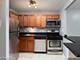 1 E Scott Unit 1412, Chicago, IL 60610