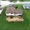 22709 Jamie, Richton Park, IL 60471