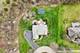 14101 W Rodmell, Libertyville, IL 60048