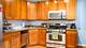 39 N Paulina Unit 2, Chicago, IL 60612
