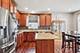 26415 Rustling Birch, Plainfield, IL 60585
