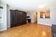 450 E Waterside Unit 707, Chicago, IL 60601