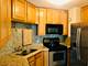 195 N Harbor Unit 207, Chicago, IL 60601