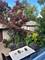 6042 N Mason, Chicago, IL 60646