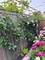 6042 N Mason, Chicago, IL 60646