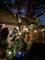 6042 N Mason, Chicago, IL 60646