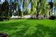 322 Hemlock, Oswego, IL 60543