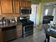 163 Shabbona, Park Forest, IL 60466