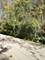 10843 W Edgewood, Beach Park, IL 60087