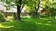 5116 N Oconto, Harwood Heights, IL 60706