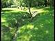 7001 Foxfire, Crystal Lake, IL 60012