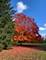 3 Auburn, Barrington Hills, IL 60010