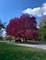 3 Auburn, Barrington Hills, IL 60010