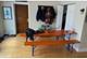 733 Elm Unit 302, Winnetka, IL 60093