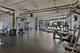 50 E 16th Unit 310, Chicago, IL 60616