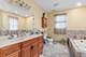9226 Kilbourn, Skokie, IL 60076