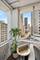 1000 N Lake Shore Unit 12B, Chicago, IL 60611