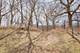 1217 N Village, Round Lake Beach, IL 60073