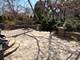 434 W Benton, Naperville, IL 60540