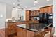 1311 Carlisle, Deerfield, IL 60015