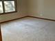 13356 Vicarage, Plainfield, IL 60585