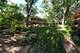 501 Glenwood, Elgin, IL 60120