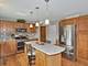 9219 Greenwood, Tinley Park, IL 60487