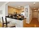 250 E Pearson Unit 1006, Chicago, IL 60611