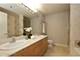 250 E Pearson Unit 1006, Chicago, IL 60611