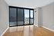 225 N Columbus Unit 5411, Chicago, IL 60601