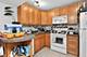10111 Old Orchard Unit 102, Skokie, IL 60076