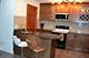 1285 Wyndham Unit 105, Palatine, IL 60074
