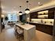 10 E Delaware Unit 9C, Chicago, IL 60611