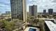 2605 S Indiana Unit 1008, Chicago, IL 60616