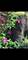 4827 N Harding, Chicago, IL 60625