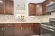 11046 S Ewing, Chicago, IL 60617