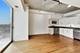 1620 S Michigan Unit 1124, Chicago, IL 60616
