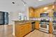201 N Westshore Unit 1006, Chicago, IL 60601