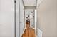 423 S Yale, Addison, IL 60101