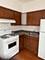 140 College Unit 2, Elgin, IL 60120