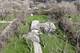 180 Crescent Knoll, Green Oaks, IL 60048