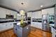3022 Long Common, Elgin, IL 60124