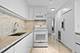505 N Lake Shore Unit 3904, Chicago, IL 60611