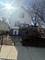 7340 S Maryland, Chicago, IL 60619