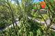 615 Harper, Algonquin, IL 60102