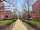 814 W 15th, Chicago, IL 60608