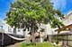 1645 N Central Park, Chicago, IL 60647